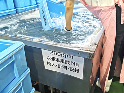 富山県ライス栄研株式会社　次亜塩素酸ナトリウム液による予備洗浄